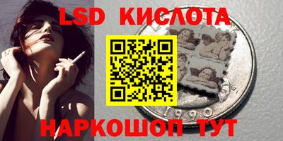 прущие грибы Дубна