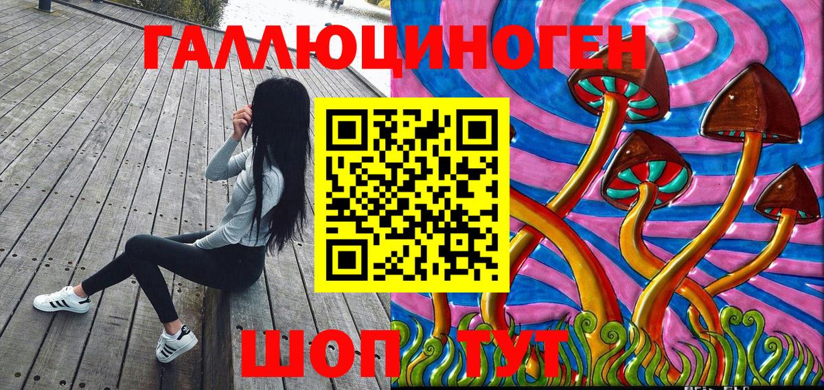 Галлюциногенные грибы Psilocybe Новочеркасск