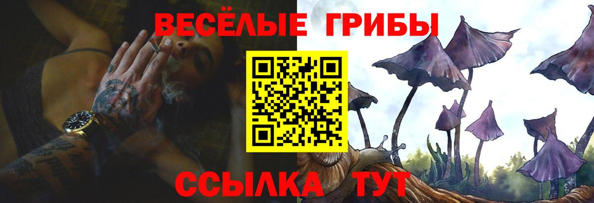 Псилоцибиновые грибы Cubensis  Вход с VPN  Псилоцибиновые грибы MAGIC MUSHROOMS  как найти наркотики  Новочеркасск 